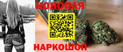 ALPHA PVP Моздок
