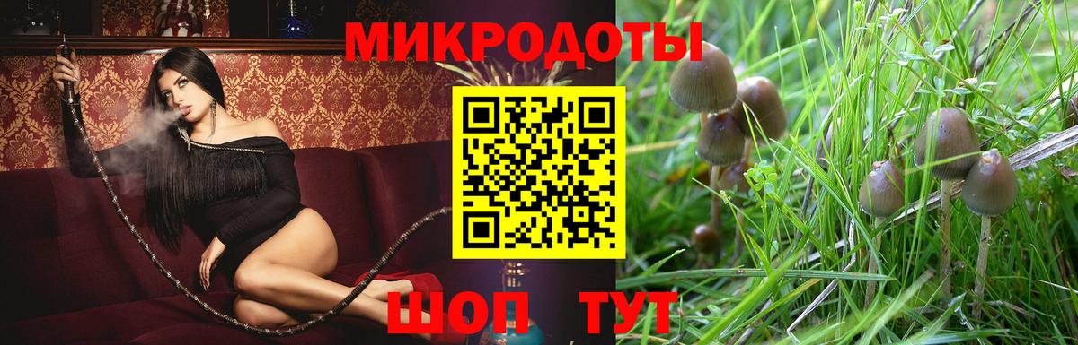 Псилоцибиновые грибы прущие грибы Фурманов