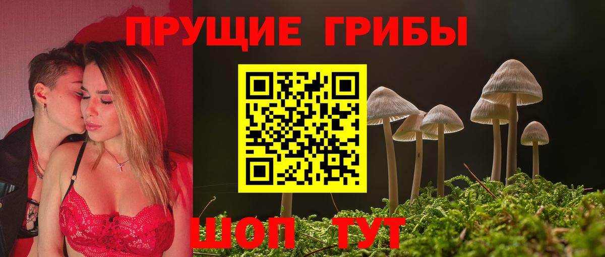 Галлюциногенные грибы Cubensis  Псилоцибиновые грибы ЛСД  Фурманов  Вход с VPN 